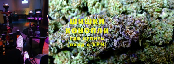 индика Тихвин
