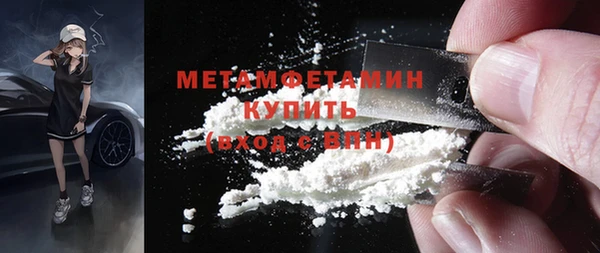 индика Тихвин